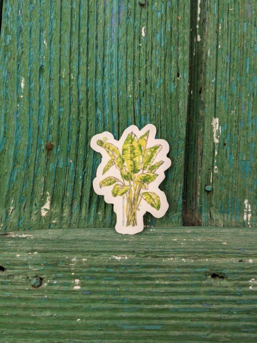Sticker Bananier 