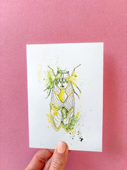 Carte postale Cigale 